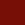 Berry Blossom (Burgundy)